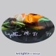 Baltimore Oriole - Miniature (1999)