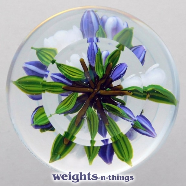 Miniature Crocus Posy 1/1 (2020)