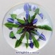 Miniature Crocus Posy 1/1 (2020)