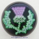 Rare PY-Signed Thistle Rare PY-Signed Thistle