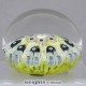 Mottled Lemon Cartwheel Mottled Lemon Cartwheel