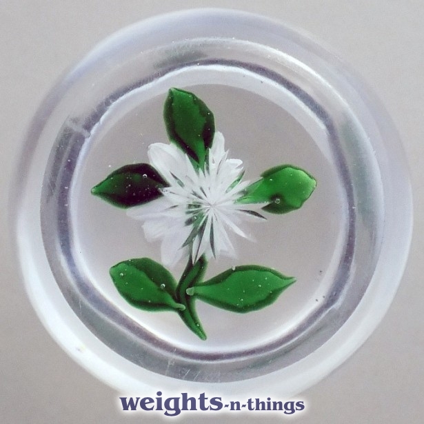 White Double Clematis