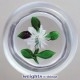 White Double Clematis
