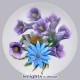 Purple Freesias (2016)