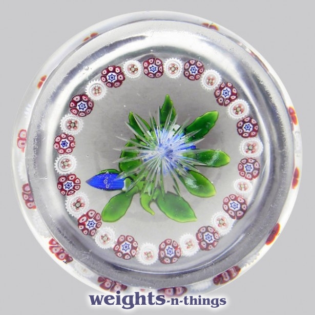 Garlanded Blue/White Camomile