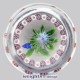 Garlanded Blue/White Camomile