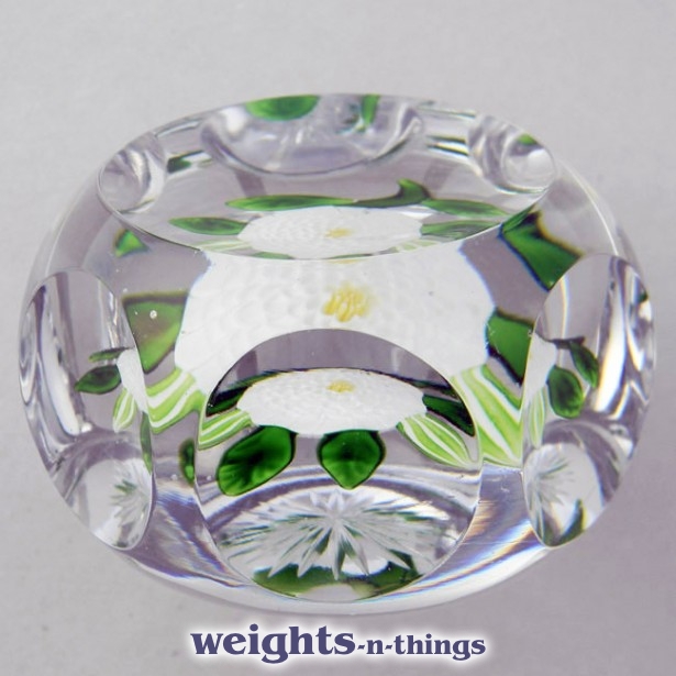 Faceted White Camomile
