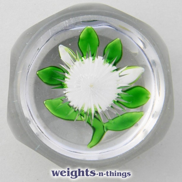 Faceted White Camomile
