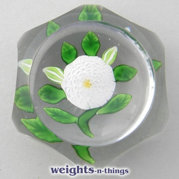 Faceted White Camomile