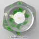 Faceted White Camomile