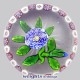 Garlanded Blue/White Camomile
