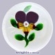 Small Pansy Small Pansy